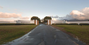 Endless Vineyards at Wildekrans Wine Estate